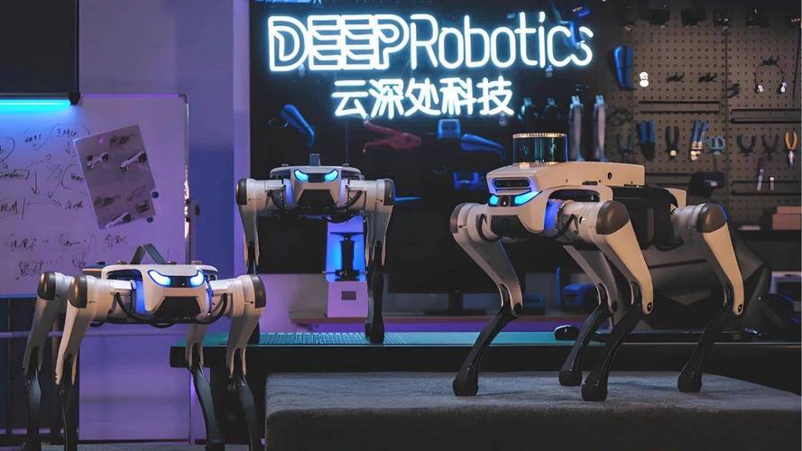 杭州“六小龙”崛起密码 数字经济积淀二十年 云帷数程科技见证创新生态